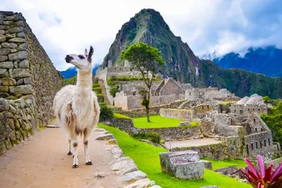 Amazon Headwaters Cruise- Explore the Ucayali River & Machu PicchuImage