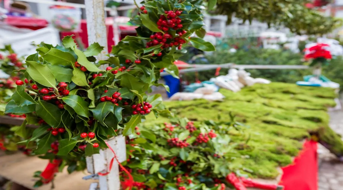 The Magic of Christmas in Spain