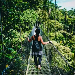 Hanging Bridges and Waterfalls in the Rainforest