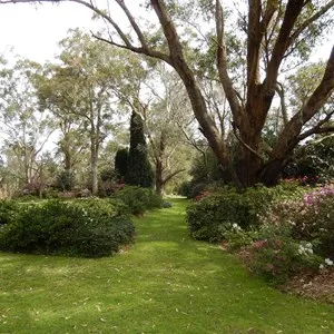 Hunter Region Botanic Gardens