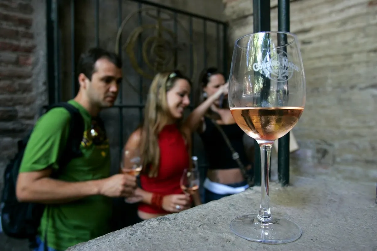 Santiago Wine Route Private Journey