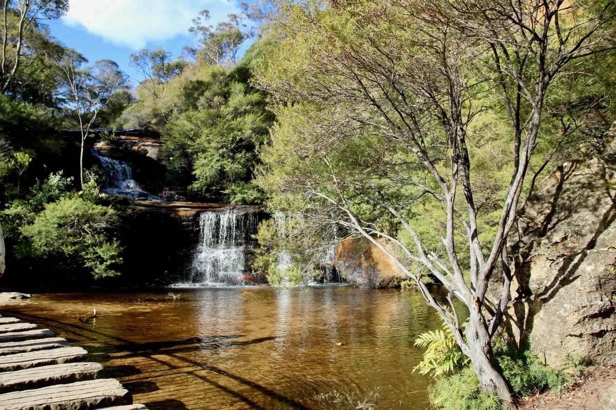 Australia's Tropical Trio Private Journey