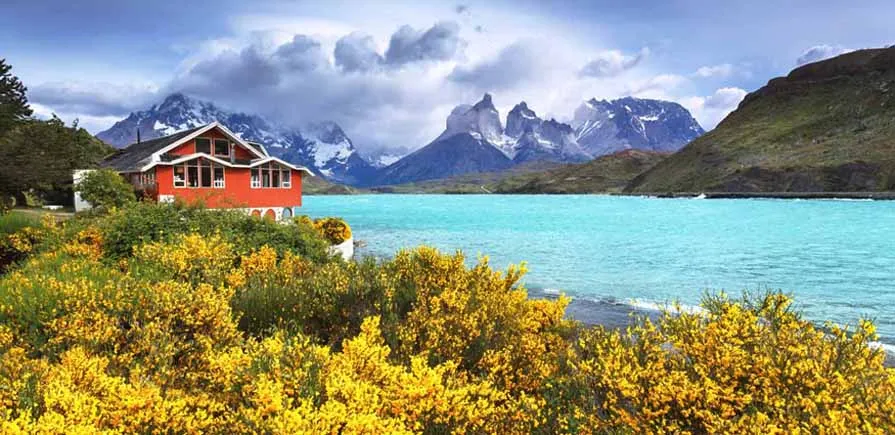 Chilean Patagonia and Antarctic Circle Expedition - A Journey Beyond the Ice