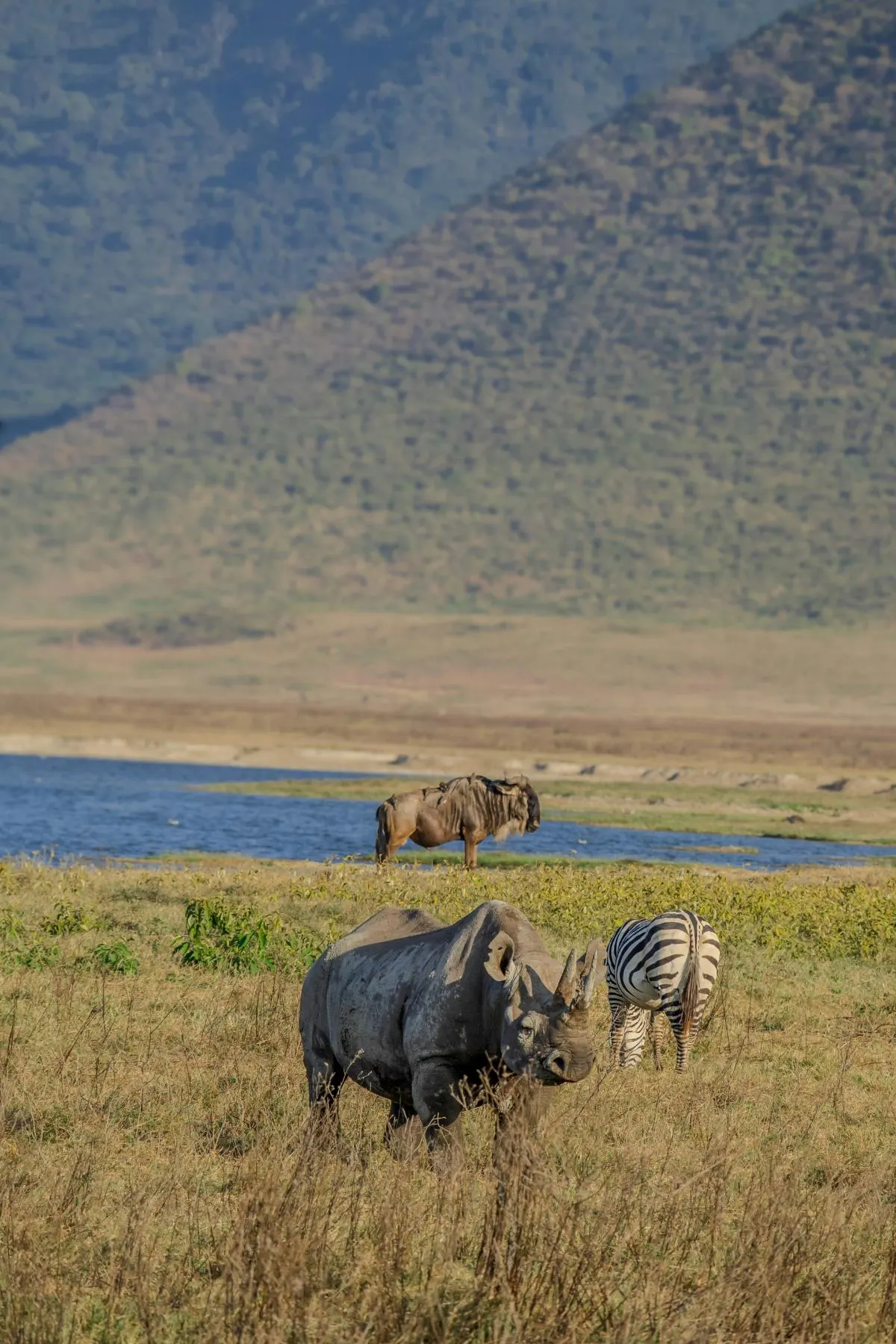 Tanzania Northern Circuit Safari