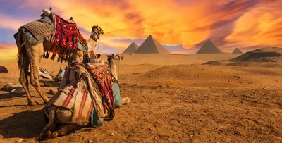 8 Day Wonders of Egypt Cruise VacationImage