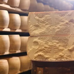 Parmesan manufactury Italy