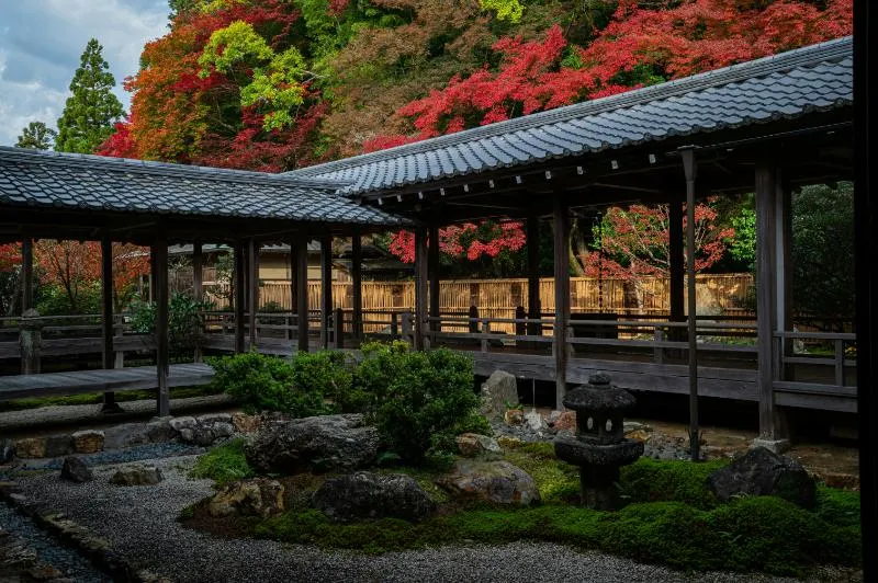 Private Journey to the Gardens of Ireland in Autumn
