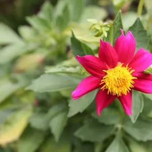 Exotic Gardens of Bouknadel