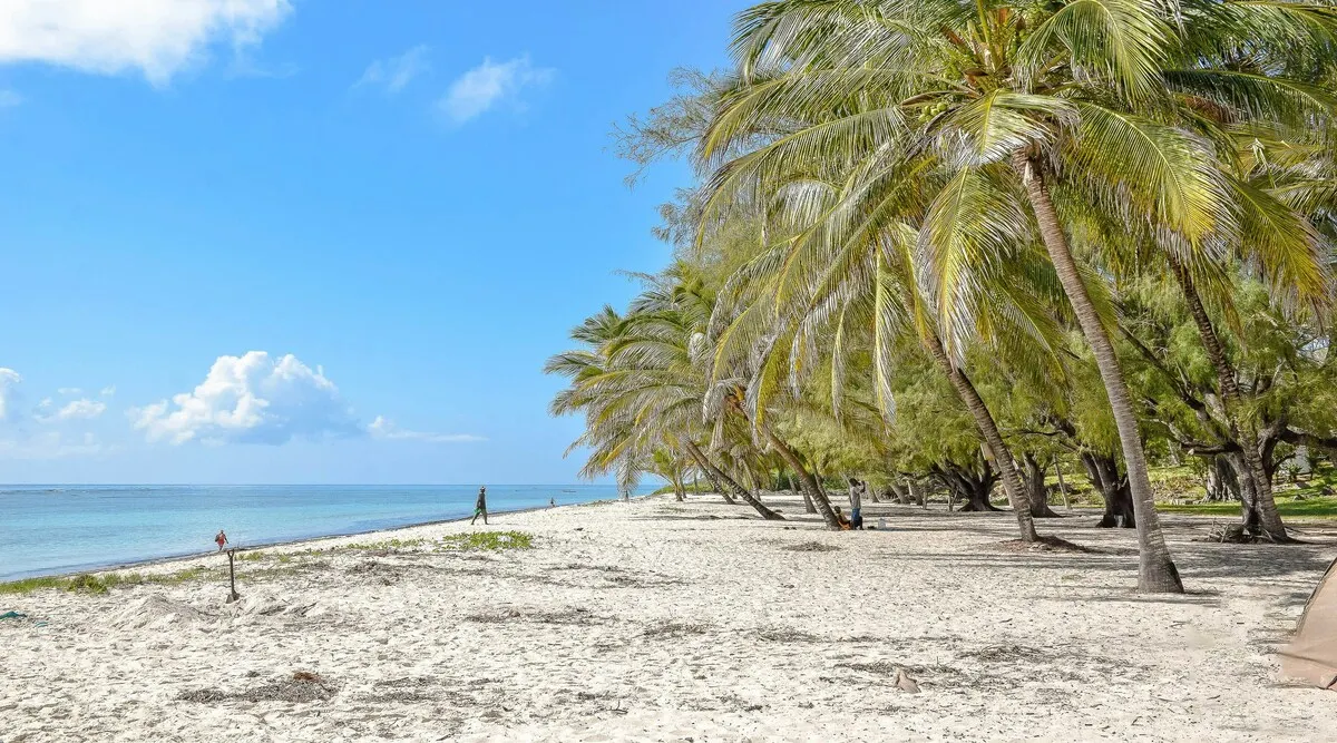 Private Kilimanjaro Safari to the Mombasa Coast