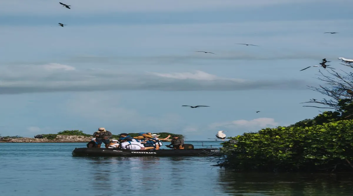 Tanzania Classic Meets a Grand Ocean Crossing