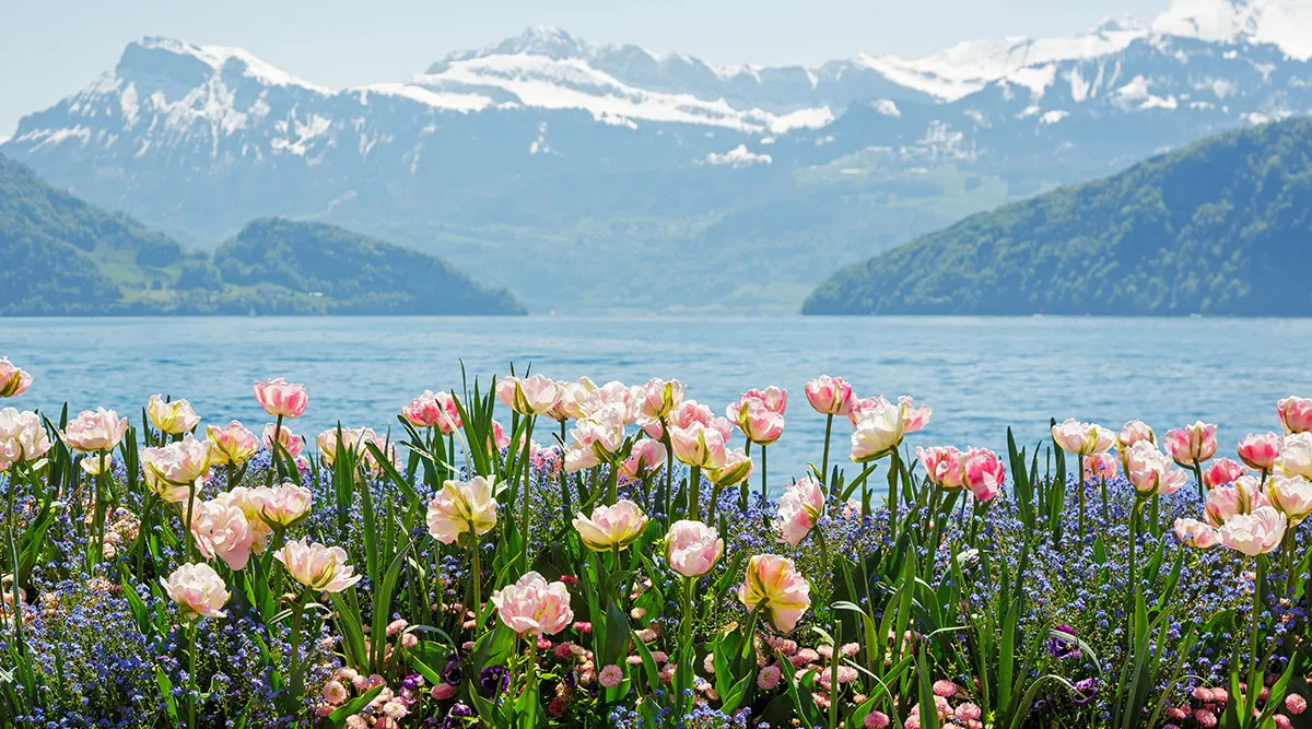 Enchanting Switzerland