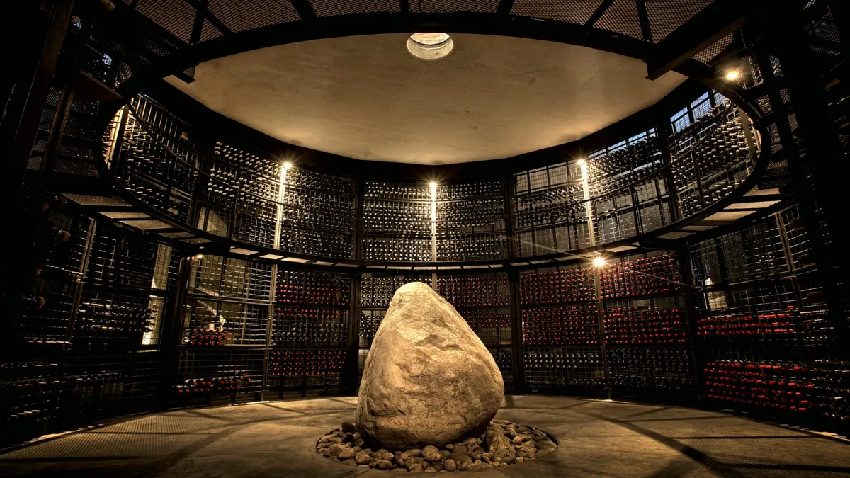 Andean Wine and Culinary Explorer