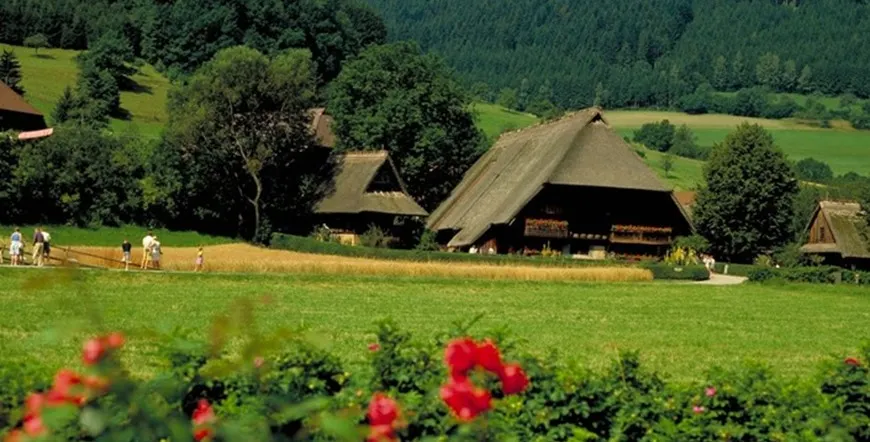 The Magic of the Black Forest Germany Escorted Vacation