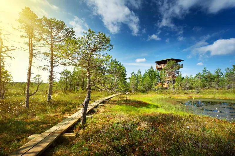 Estonia