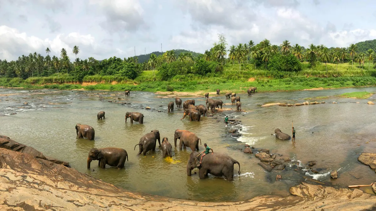 Matale District