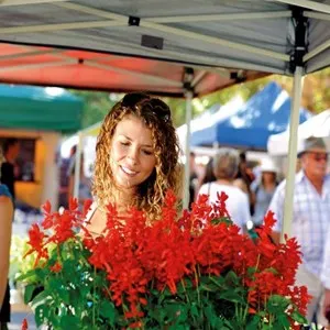 Ballina Farmers & Producers Market