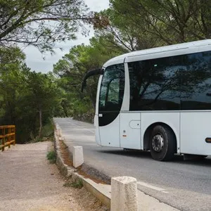 Public Transport