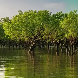 Charles Darwin National Park