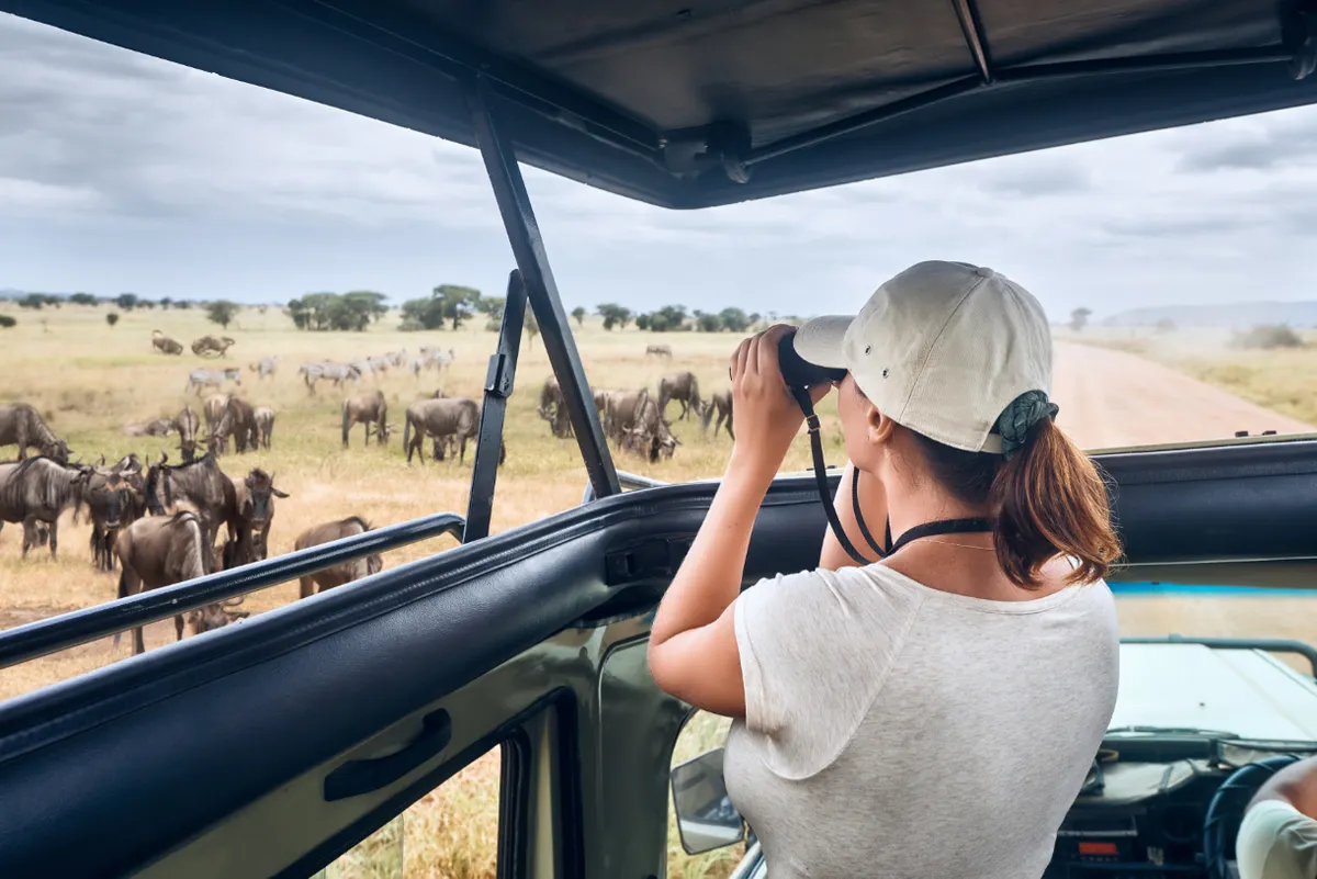 Kilimanjaro National Park