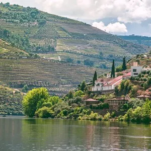 Douro Valley Tour with Wine Tasting & Lunch