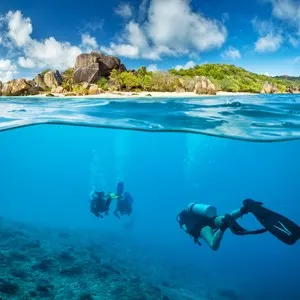 Diving & Snorkelling