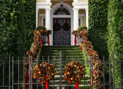 Charleston Christmas Discovery