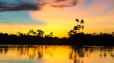 Iquitos