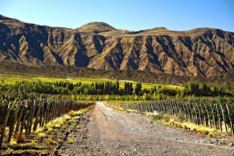 Mendoza