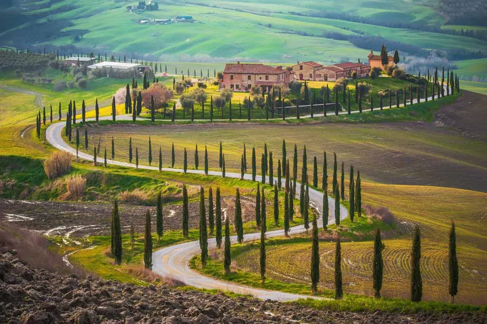 Florence Discovery
