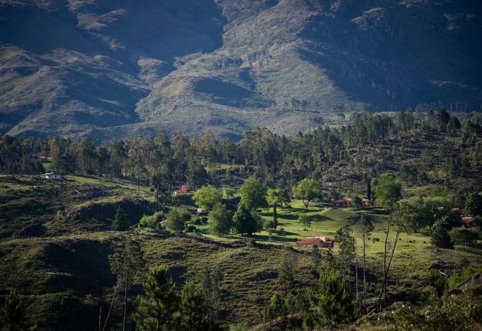 Argentina Horseback Explorer
