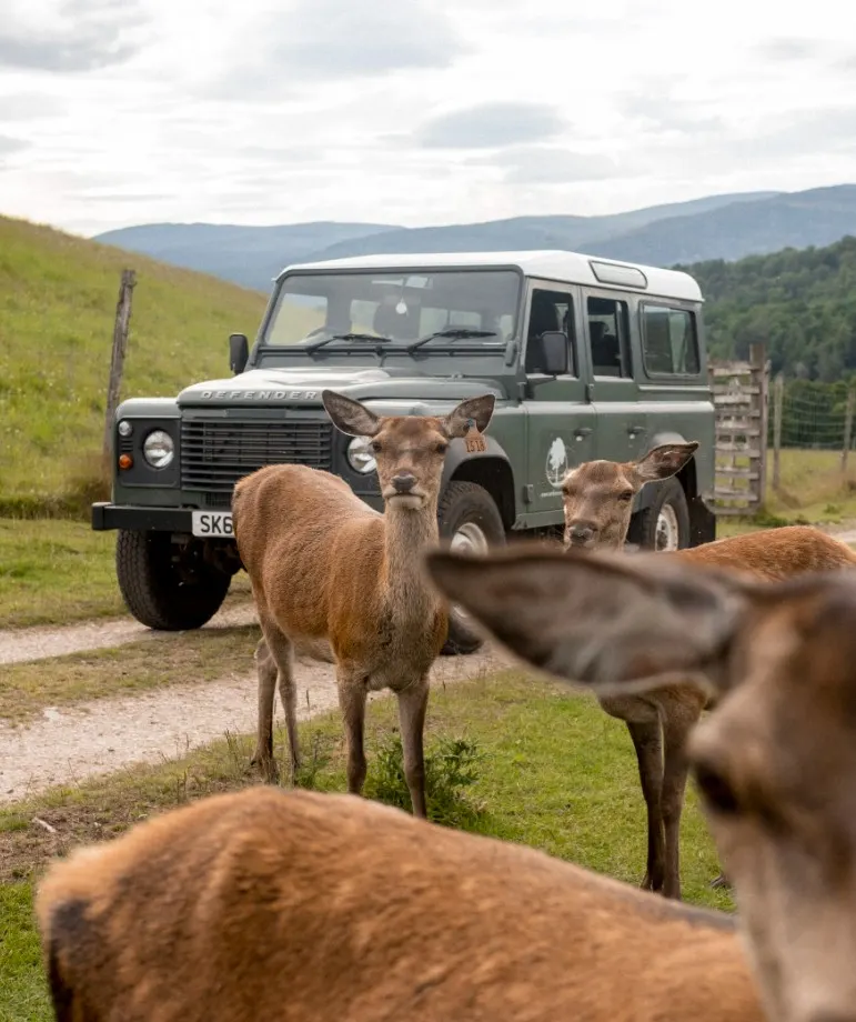 Great Rail Journey: Taste of the Highlands Aboard Royal Scotsman