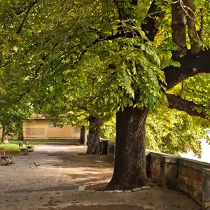 Kampa Park