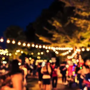 vintage tone blur image of night festival in garden