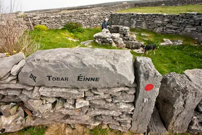 Galway City Discovery