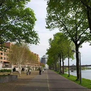 Charles Eyck Park