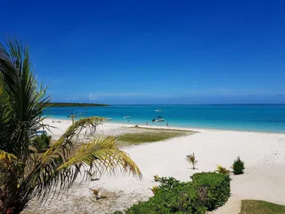Photo 2 of Summer Breeze By Dream Escapes Mauritius hotel