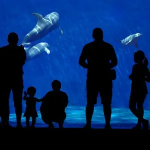 Aquarium of Genoa