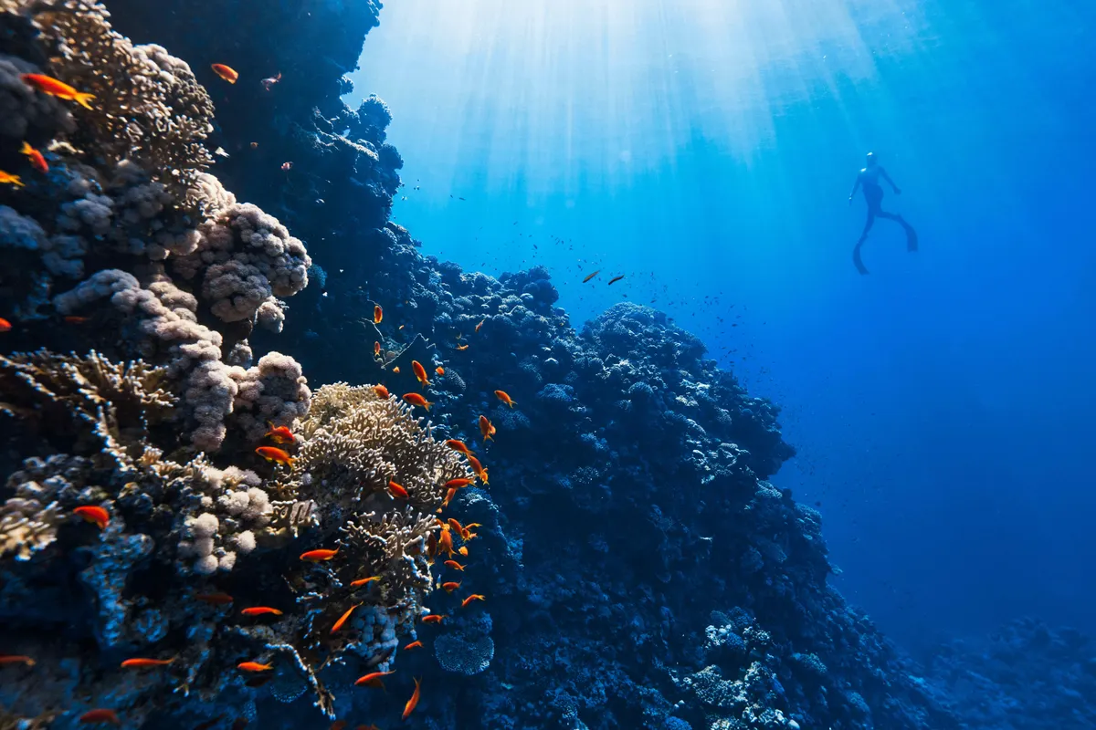 Australia's Tropical Trio Private Journey