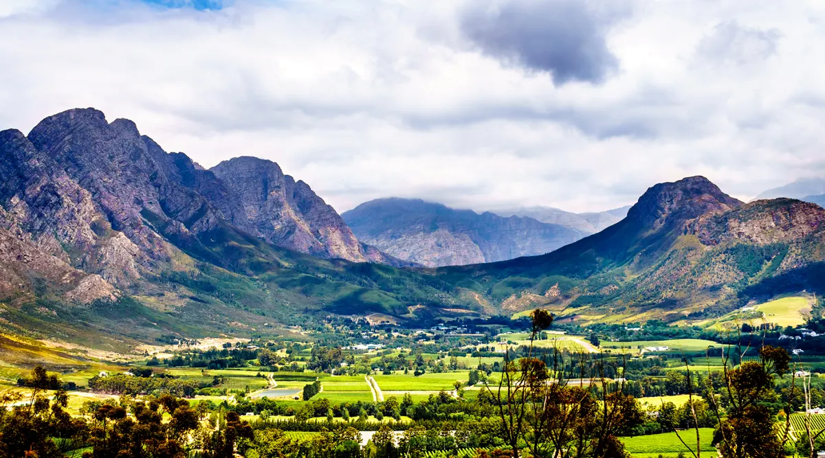 Cape Town and Winelands Escapade