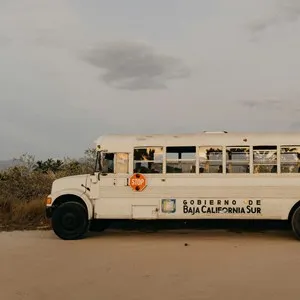 Public Transport