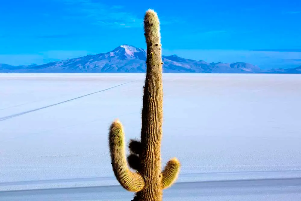 Discover Peru and Bolivia Escorted Vacation