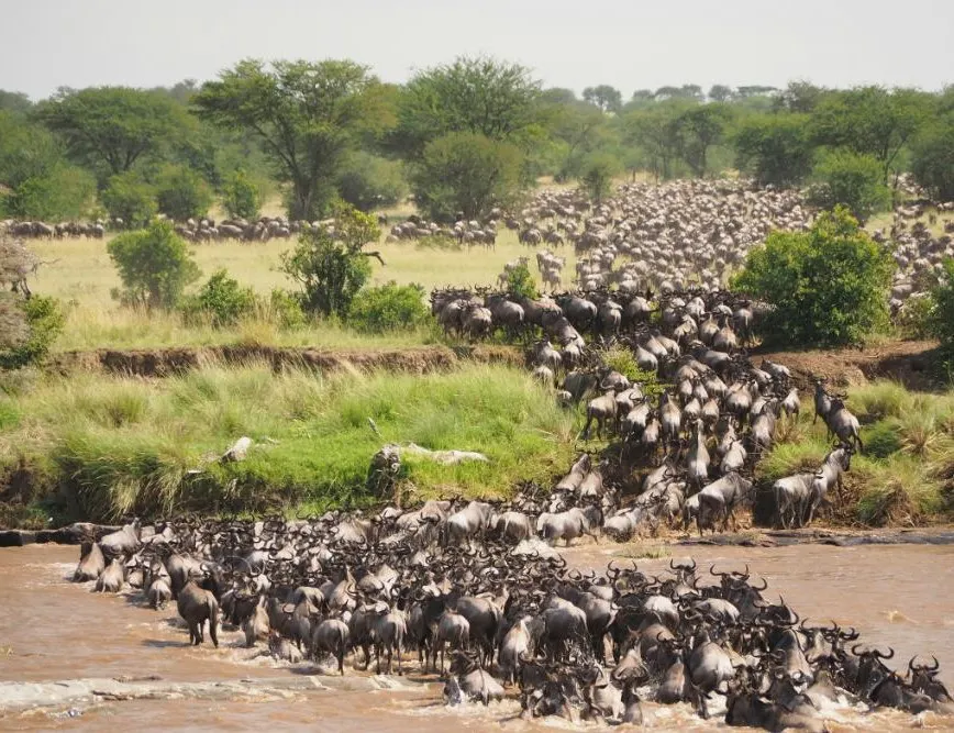 A Taste of Tanzania