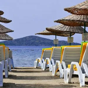 Beach Life