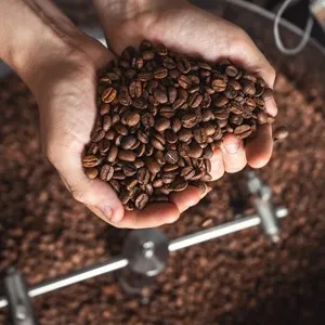 Café Milagro Coffee Roasters