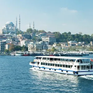 Boat Trips