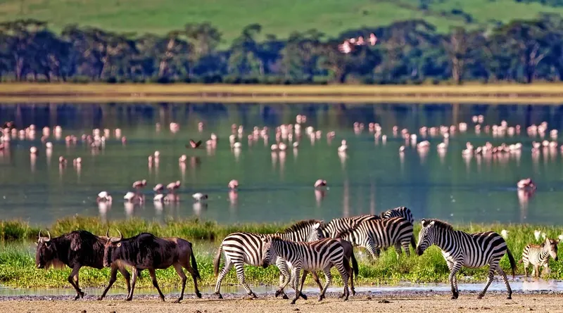 Kilimanjaro National Park