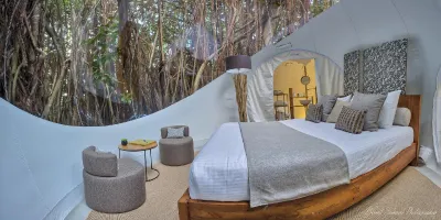 Photo 4 of Bubble Lodge Ile Aux Cerfs hotel