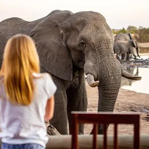 Elephant Sanctuary (Zimbabwe)