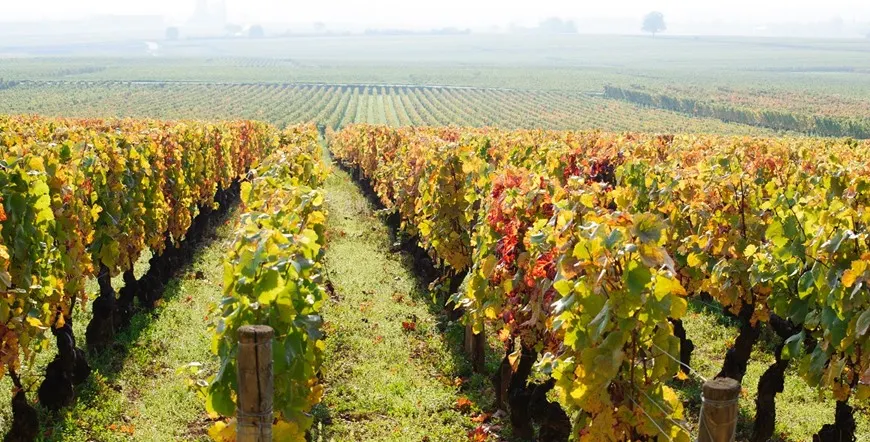 Paris Burgundy and Avignon Multi City Vacation