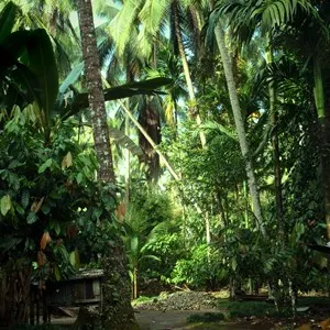 Oloolua Nature trail